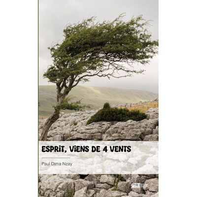 Esprit viens de 4 vents - Publicité Esprit viens de 4 vents - Publicité