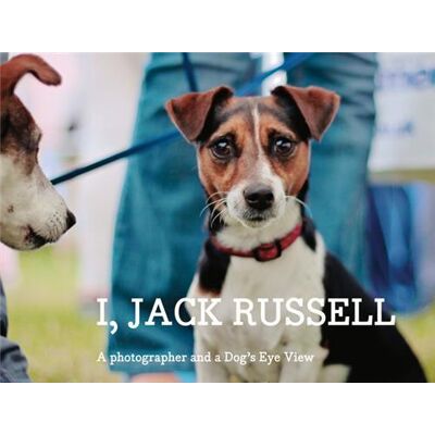 ART I JACK RUSSELL - A PHOTOGRAPHER AND A DOG'S EYE VIEW - Publicité ART I JACK RUSSELL - A PHOTOGRAPHER AND A DOG'S EYE VIEW - Publicité