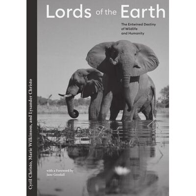 Lords of the earth - Publicité Lords of the earth - Publicité