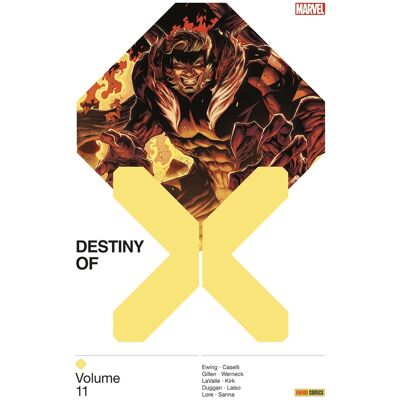 Destiny of X T11 - Publicité Destiny of X T11 - Publicité