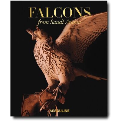 Falcons from Saudi Arabia - Publicité Falcons from Saudi Arabia - Publicité