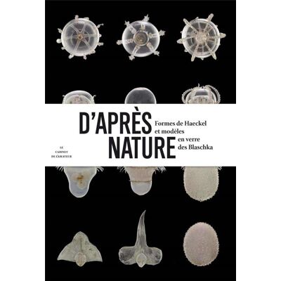 ART D'après nature - Publicité ART D'après nature - Publicité
