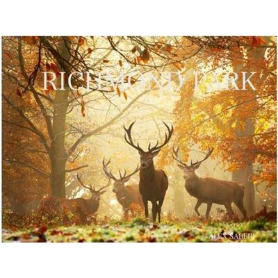 ART Richmond park - Publicité ART Richmond park - Publicité