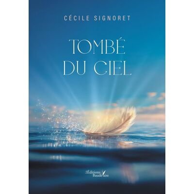 - PAS DE MARQUE - Tombé du ciel - Publicité - PAS DE MARQUE - Tombé du ciel - Publicité