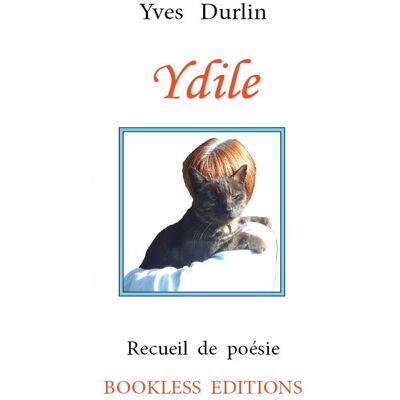 Ydile - Publicité Ydile - Publicité