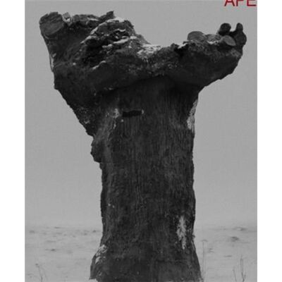 ART Double reality Tom Callemin - Publicité ART Double reality Tom Callemin - Publicité