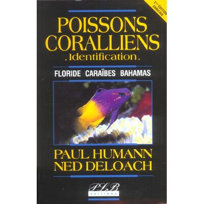 - PAS DE MARQUE - Poissons coralliens : identification - Publicité - PAS DE MARQUE - Poissons coralliens : identification - Publicité