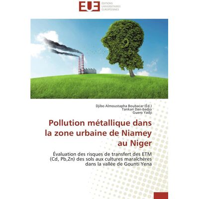Pollution metallique dans la zone urbaine de niamey au niger - Publicité Pollution metallique dans la zone urbaine de niamey au niger - Publicité