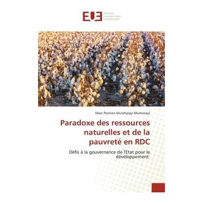 Paradoxe des ressources naturelles et de la pauvreté en RDC : Défis à la gouvernance de l'Etat pour le développement - Publicité Paradoxe des ressources naturelles et de la pauvreté en RDC : Défis à la gouvernance de l'Etat pour le développement - Publicité