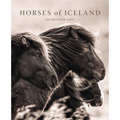 ART Guadalupe laiz : Horses of Iceland - Publicité ART Guadalupe laiz : Horses of Iceland - Publicité