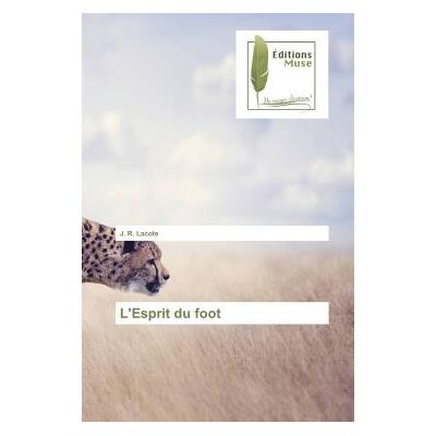 L'esprit du foot - Publicité L'esprit du foot - Publicité