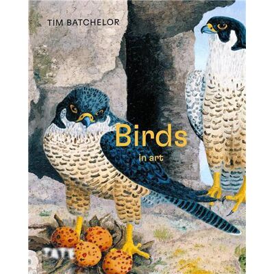 ART Birds - Publicité ART Birds - Publicité