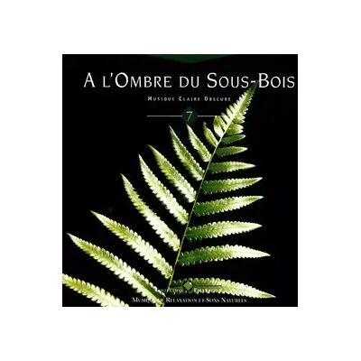 Origins À L'Ombre Du Sous-Bois - Musique Claire-Obscure - Olivier Renoir - Publicité Origins À L'Ombre Du Sous-Bois - Musique Claire-Obscure - Olivier Renoir - Publicité
