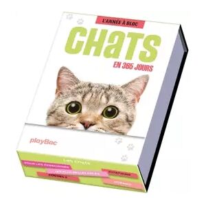 Illustrated Calendrier Chats en 365 jours - L'Année à bloc - Publicité Illustrated Calendrier Chats en 365 jours - L'Année à bloc - Publicité