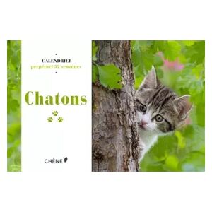 dictionnaire-encyclopedie Calendrier 52 semaines Chatons - Editions du Chêne - Publicité dictionnaire-encyclopedie Calendrier 52 semaines Chatons - Editions du Chêne - Publicité