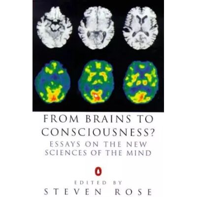 New From Brains to Consciousness? - Publicité New From Brains to Consciousness? - Publicité