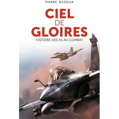 Illustrated Ciel de gloires: Histoire des as au combat - Pierre Razoux - Publicité Illustrated Ciel de gloires: Histoire des as au combat - Pierre Razoux - Publicité