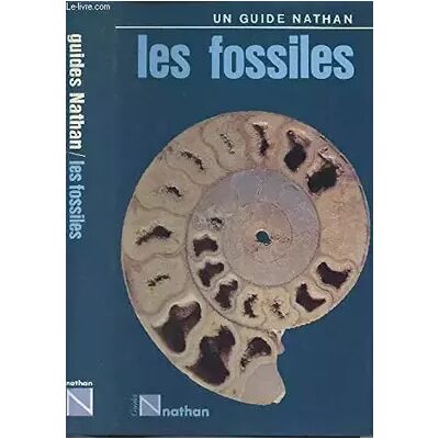 Les fossiles - Giorgio Teruzzi, P. Arduini - Publicité Les fossiles - Giorgio Teruzzi, P. Arduini - Publicité
