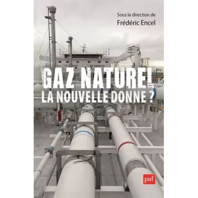 1 Gaz naturel, la nouvelle donne ? - François Lafargue, Raphaël H. Boroumand, Stephan Sylvestre, Thomas Porcher, Stéphane Goutte, Frédéric Encel - Publicité 1 Gaz naturel, la nouvelle donne ? - François Lafargue, Raphaël H. Boroumand, Stephan Sylvestre, Thomas Porcher, Stéphane Goutte, Frédéric Encel - Publicité