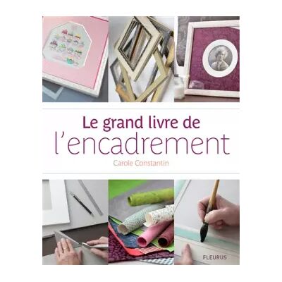 Le grand livre de l'encadrement - Carole Constantin, Thierry Antablian - Publicité Le grand livre de l'encadrement - Carole Constantin, Thierry Antablian - Publicité