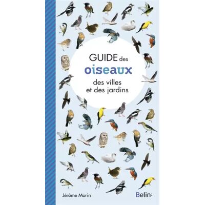 Guide des oiseaux des villes et des jardins - Jérôme Morin - Publicité Guide des oiseaux des villes et des jardins - Jérôme Morin - Publicité