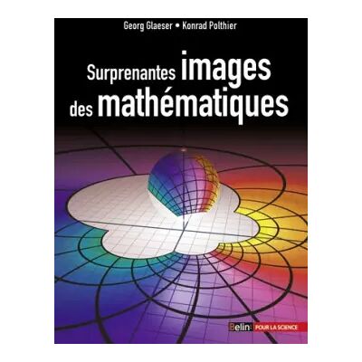 Surprenantes images de mathématiques - Georg Glaeser, Konrad Polthier, Janie Molard - Publicité Surprenantes images de mathématiques - Georg Glaeser, Konrad Polthier, Janie Molard - Publicité