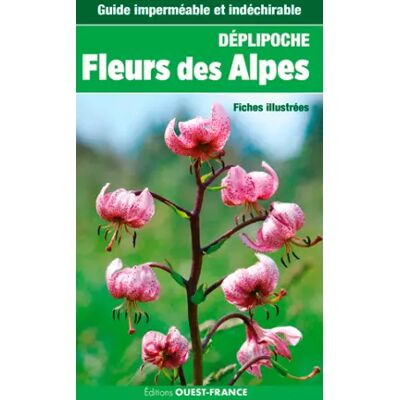 FLEURS DES ALPES (DEPLIPOCHE - carte laminée) - Patrick Mérienne, Thierry Ménard - Publicité FLEURS DES ALPES (DEPLIPOCHE - carte laminée) - Patrick Mérienne, Thierry Ménard - Publicité