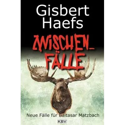 New Zwischenfälle: Neue Fälle für Baltasar Matzbach - Gisbert Haefs - Publicité New Zwischenfälle: Neue Fälle für Baltasar Matzbach - Gisbert Haefs - Publicité