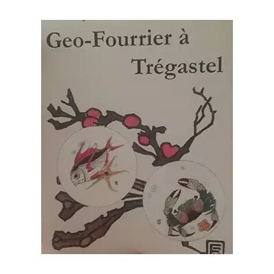 GEO FOURRIER A TREGASTEL - Publicité GEO FOURRIER A TREGASTEL - Publicité
