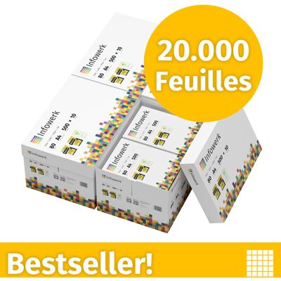 Infowerk Papier pour imprimante Papier à copier 20000 feuilles 40 x 500 A4 Premium extra-blanc CIE 160 Certifié PEFC - Publicité Infowerk Papier pour imprimante Papier à copier 20000 feuilles 40 x 500 A4 Premium extra-blanc CIE 160 Certifié PEFC - Publicité