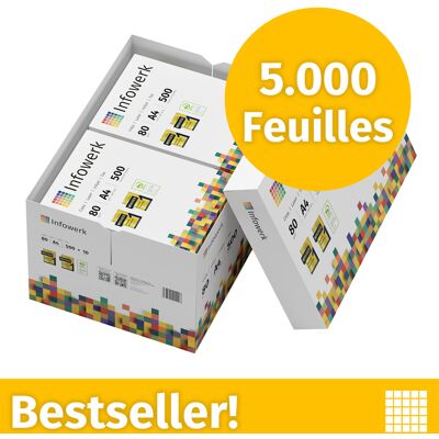 Infowerk Papier pour imprimante Papier à copier 5000 feuilles 10 x 500 A4 Premium extra-blanc CIE 160 Certifié PEFC - Publicité Infowerk Papier pour imprimante Papier à copier 5000 feuilles 10 x 500 A4 Premium extra-blanc CIE 160 Certifié PEFC - Publicité