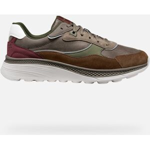 GEOX Spherica Actif X1 Homme Beige Clair/cognac 41 - Publicité GEOX Spherica Actif X1 Homme Beige Clair/cognac 41 - Publicité