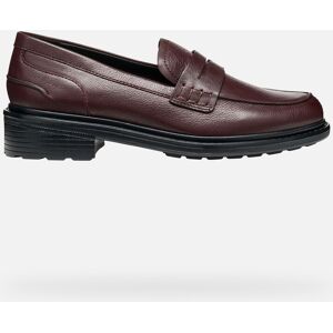 GEOX Walk Pleasure Femme Bordeaux 38,5 - Publicité GEOX Walk Pleasure Femme Bordeaux 38,5 - Publicité