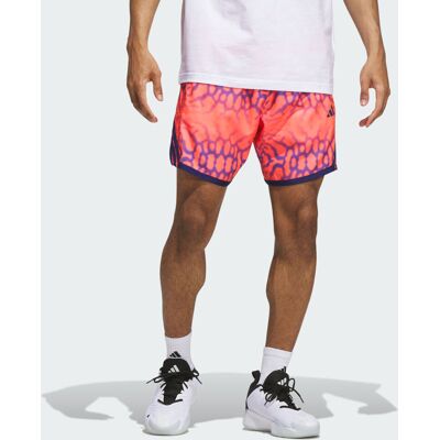 Adidas SHORT GRAPHIQUE CRAZYLITE Solar Turbo L 28 CM - Publicité Adidas SHORT GRAPHIQUE CRAZYLITE Solar Turbo L 28 CM - Publicité