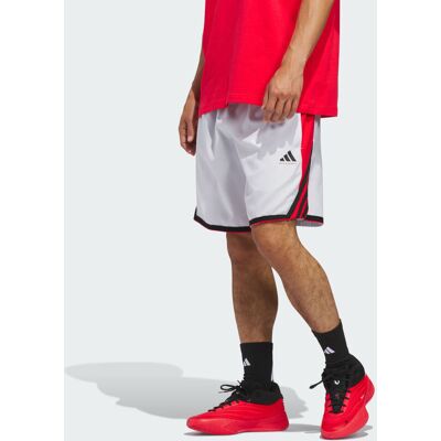 Short adidas Crazy Lite Dash Grey / Pure Ruby S 13 CM - Publicité Short adidas Crazy Lite Dash Grey / Pure Ruby S 13 CM - Publicité