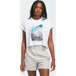 Adidas T-SHIRT SUMMER ROMANCE GRAPHIC White 2XL - Publicité Adidas T-SHIRT SUMMER ROMANCE GRAPHIC White 2XL - Publicité