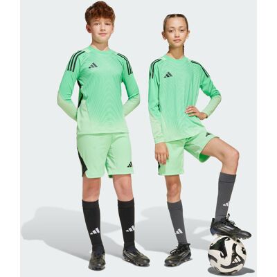 Adidas Tiro 25 Pro Goalkeeper Shorts Kids Glory Mint 15-16A - Publicité Adidas Tiro 25 Pro Goalkeeper Shorts Kids Glory Mint 15-16A - Publicité
