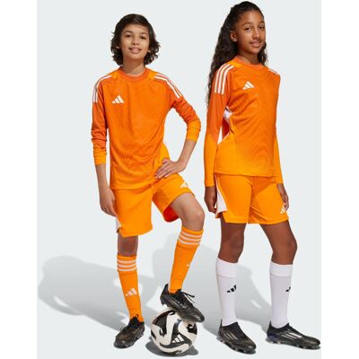Adidas Tiro 25 Pro Goalkeeper Shorts Kids Crew Orange 11-12A - Publicité Adidas Tiro 25 Pro Goalkeeper Shorts Kids Crew Orange 11-12A - Publicité