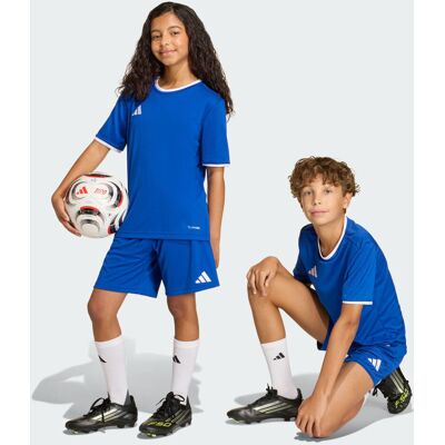 Adidas Short Entrada26 Enfants Royal Blue / White 13-14A - Publicité Adidas Short Entrada26 Enfants Royal Blue / White 13-14A - Publicité