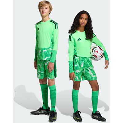 Adidas TIRO26 COMPETITION GOALKEEPER SHORTS KIDS Lime Burst 15-16A - Publicité Adidas TIRO26 COMPETITION GOALKEEPER SHORTS KIDS Lime Burst 15-16A - Publicité