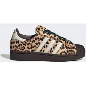 Adidas Chaussure Superstar II Dark Brown / Ivory / Gold Metallic 39 1/3 - Publicité Adidas Chaussure Superstar II Dark Brown / Ivory / Gold Metallic 39 1/3 - Publicité