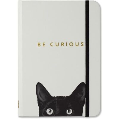 Sm curious cat journal - Publicité Sm curious cat journal - Publicité