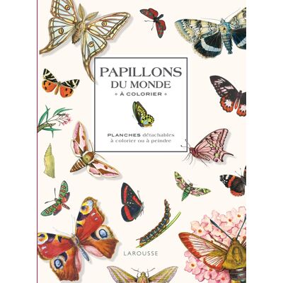 Papillons du monde à colorier : planches détachables à colorier ou à peindre - Publicité Papillons du monde à colorier : planches détachables à colorier ou à peindre - Publicité