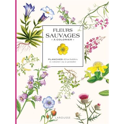Fleurs sauvages à colorier : planches détachables à colorier ou à peindre - Publicité Fleurs sauvages à colorier : planches détachables à colorier ou à peindre - Publicité