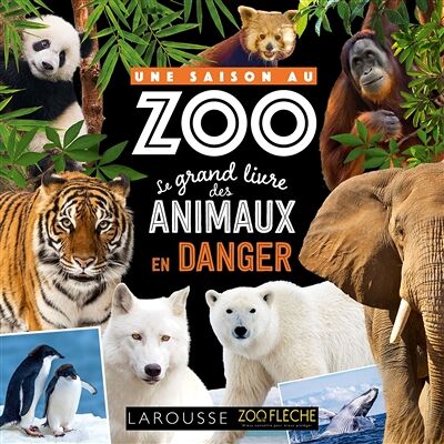 Cyril Hue Une saison au zoo : le grand livre des animaux en danger - Publicité Cyril Hue Une saison au zoo : le grand livre des animaux en danger - Publicité