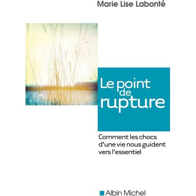 Marie Lise Labonté Le Point de rupture - Publicité Marie Lise Labonté Le Point de rupture - Publicité