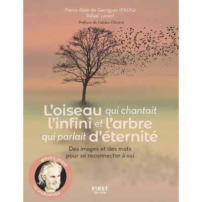 Rafaël Lecerf, Pierre-Alain de Guarrigues L'oiseau qui chantait l'infini et l'arbre qui parlait d'éternité : des images et des mots pour se reconnecter à soi - Publicité Rafaël Lecerf, Pierre-Alain de Guarrigues L'oiseau qui chantait l'infini et l'arbre qui parlait d'éternité : des images et des mots pour se reconnecter à soi - Publicité