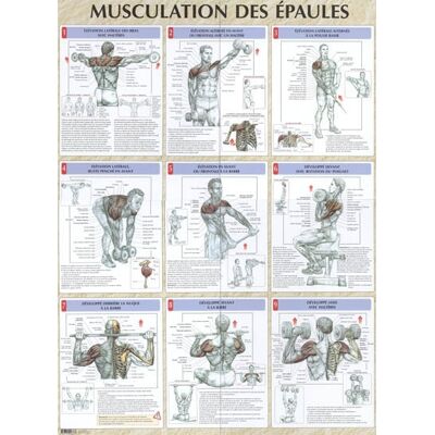 Frédéric Delavier Musculation des épaules planche plastifiée - Publicité Frédéric Delavier Musculation des épaules planche plastifiée - Publicité