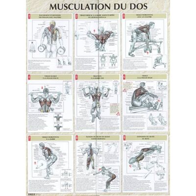 Frédéric Delavier Musculation du dos planche plastifiée - Publicité Frédéric Delavier Musculation du dos planche plastifiée - Publicité