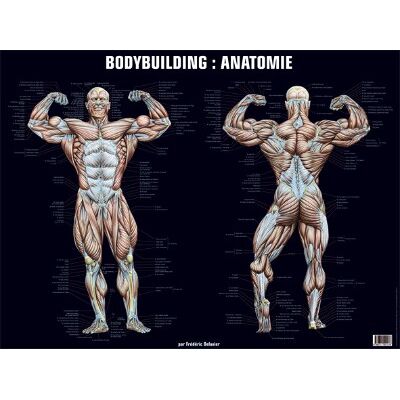 Frédéric Delavier Poster bodybuilding : anatomie - Publicité Frédéric Delavier Poster bodybuilding : anatomie - Publicité